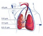 NOVAMA Familino Nebulizačná súprava s nebulizérom RF8EVO – Obrázok 6