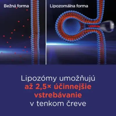 GS Vitamín Lipo C 500 mg so šípkami 50 kapsúl – Obrázok 4
